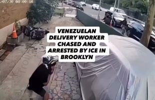 Delivery Driver From Venezuelan Tried To Shake Off Ice Agents That Jumped Out On Him While Delivery Food In Brooklyn