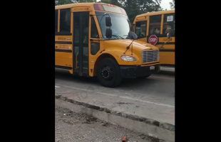 Two Bus Drivers Pulled Up On Each Other And Started Arguing While Taking The Kids Home