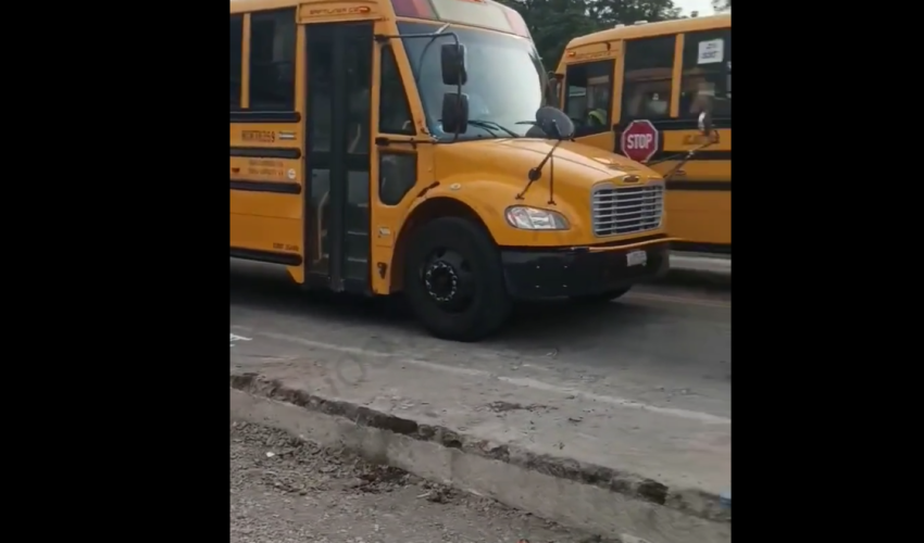 Two Bus Drivers Pulled Up On Each Other And Started Arguing While Taking The Kids Home