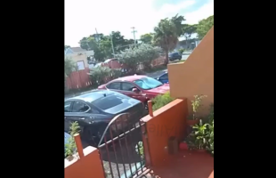 Police Tried To Take Their Suspects Out While Pulling Up For A Bust