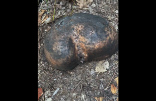 Dude Caught A Weird Toy Sitting In The Open After Catching A Guy Inside Of It