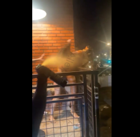 Two Girls Gets Sprayed With Sprayed Like Some Roaches While Throwing Down