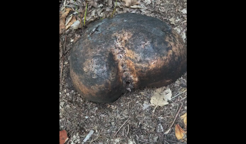 Dude Caught A Weird Toy Sitting In The Open After Catching A Guy Inside Of It