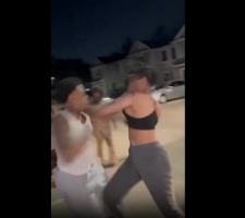 Viral female fade🥊