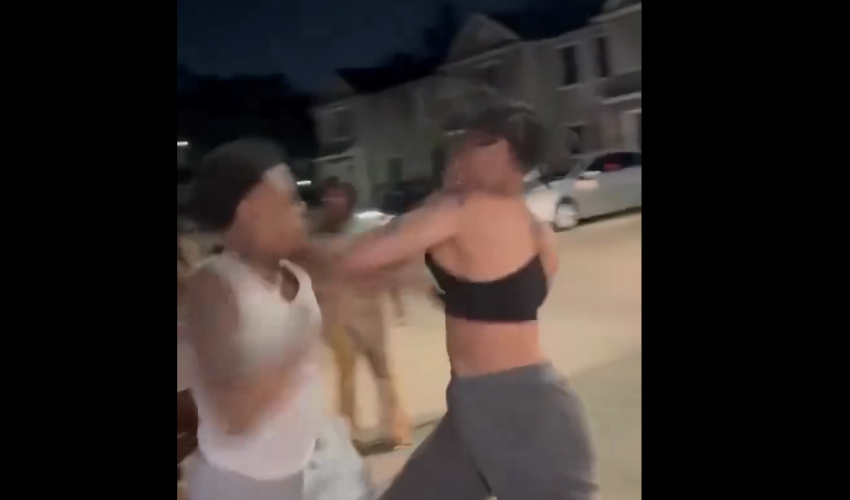 Viral female fade🥊
