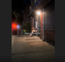 Woman Breaks Into A Store And Used Her Barefoot To Break The Glass In Brooklyn