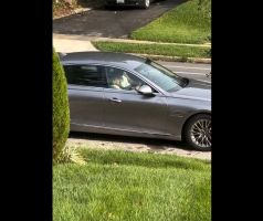 Woman Gets Mad After She Seen A Random Car Sitting In Front Of Her House With A Girl Slurping Down The Driver With No Tint