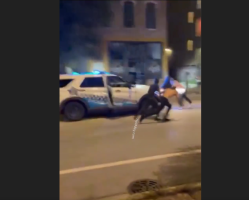 Chicago Police Tried To Shut Down A Car Show That Had The Street Blocked Off But Ended Up Getting Their Car Beat Up Instead
