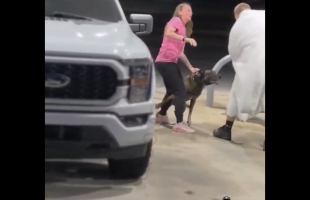 Dog Trainers Proves Why Women Need To Have Trained Dogs When Men Try To Holler At Them At The Gas Stations After Rejecting Them