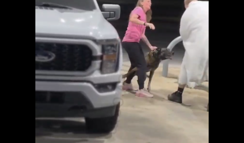Dog Trainers Proves Why Women Need To Have Trained Dogs When Men Try To Holler At Them At The Gas Stations After Rejecting Them