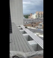 Man Witness A Rat Jump And Took Himself Out While Working On A Building