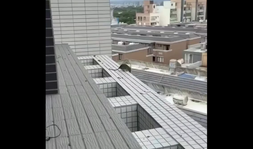 Man Witness A Rat Jump And Took Himself Out While Working On A Building