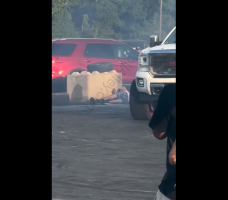 Dude Gets Knocked Out By Big Truck After Standing In The Wrong Spot At The Car Show