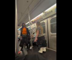 Every Black Person Goes Off On A White Woman On The Train Because She Dont Like Kids And Claim Kids Are Not The Future And She Will Always Use Birth Control And Will Never Adopt