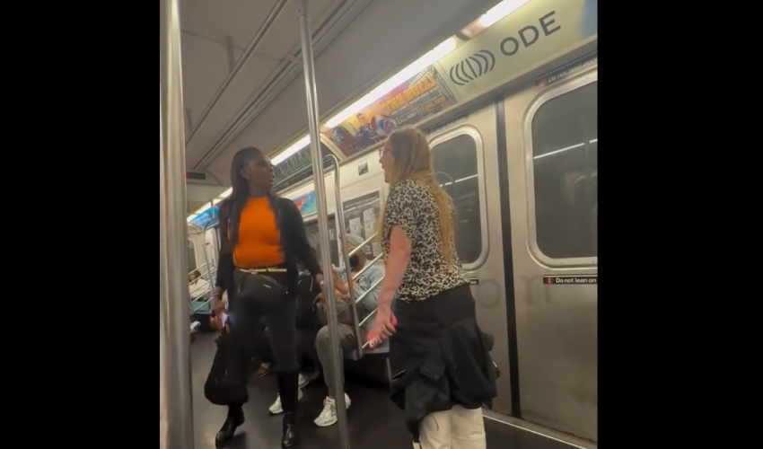 Every Black Person Goes Off On A White Woman On The Train Because She Dont Like Kids And Claim Kids Are Not The Future And She Will Always Use Birth Control And Will Never Adopt