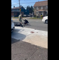 Dude Made A Mistake After He Begged A Old Man To Get Out His Truck During A Road Rage