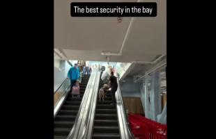 Security Guard Breaks The No Touching Policy And Put Hands On A Guy He Caught Stealing