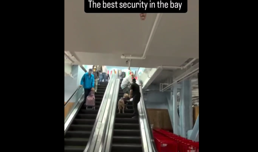 Security Guard Breaks The No Touching Policy And Put Hands On A Guy He Caught Stealing