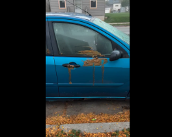 Woman Gets Mad After Her Neighbors Covered Her Car With Shii For Being A Karen