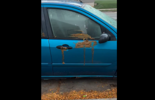 Woman Gets Mad After Her Neighbors Covered Her Car With Shii For Being A Karen