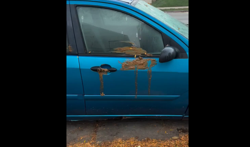 Woman Gets Mad After Her Neighbors Covered Her Car With Shii For Being A Karen