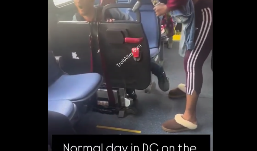 Homeless Man Gets His Food Destroyed By Two Girls On The Bus After He Allegedly Harassed Their Mother
