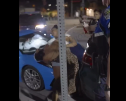 Police Slams A Woman Like A Man After She Wouldn’t Stop Swinging